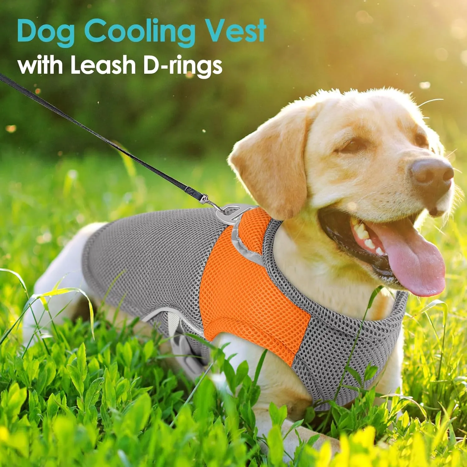 AOFITEE Dog Cooling Vest Large, Cooling Jacket for Dogs, Breathable Cooler Dog Shirt with Harness D-Ring, Lightweight Dogs Cooler Jackets Pet Ice Vest for Summer Hot Weather, Orange XL
