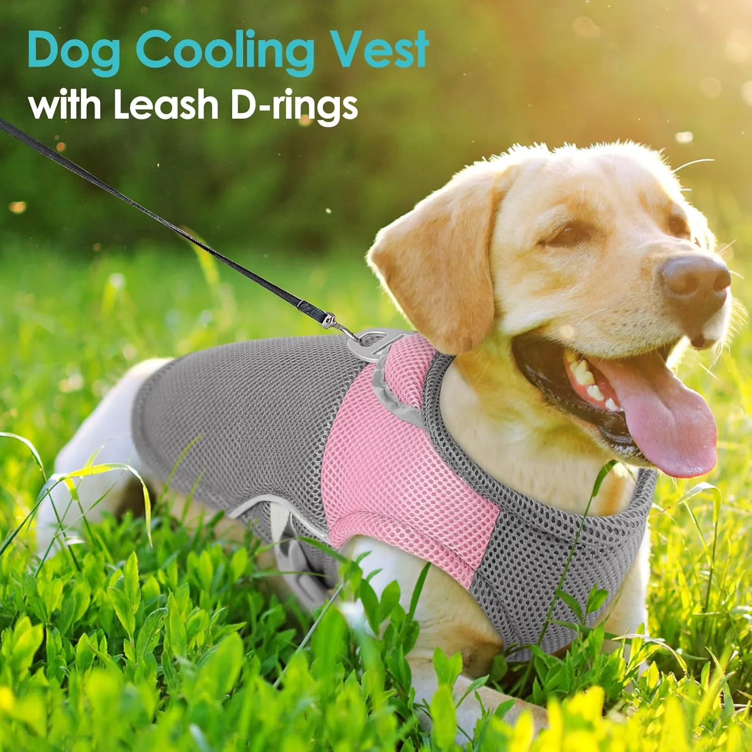 AOFITEE Dog Cooling Vest Large, Cooling Jacket for Dogs, Breathable Cooler Dog Shirt with Harness D-Ring, Lightweight Dogs Cooler Jackets Pet Ice Vest for Summer Hot Weather, Pink XL
