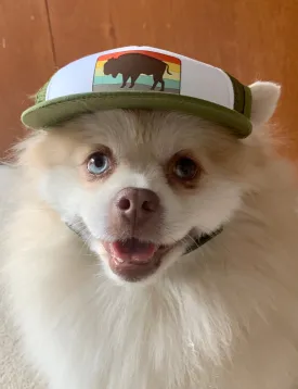 Bison Trucker Hat