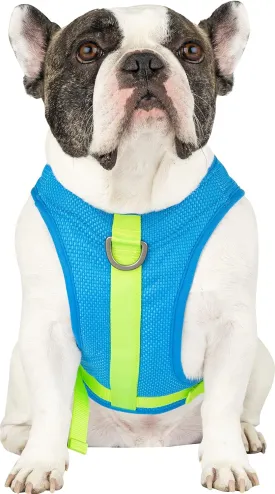 Canada Pooch Dog Cooling Harness - Evaporative Cooling Harness Vest for Dogs with Breathable Mesh Material & Reflective Lining, Adjustable Dog Cooling Vest Great for Dogs
