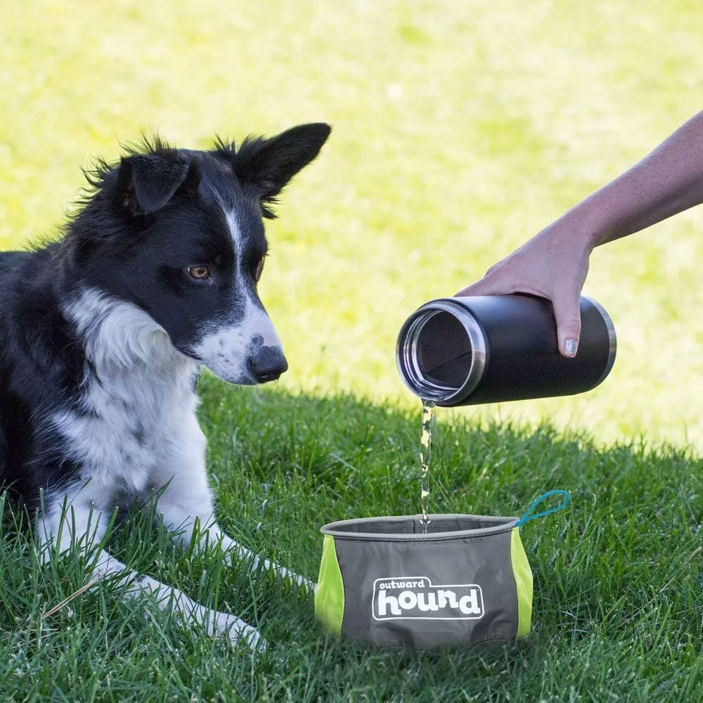 Collapsible Dog Food Travel Bowl - Port-A-Bowl 48oz.