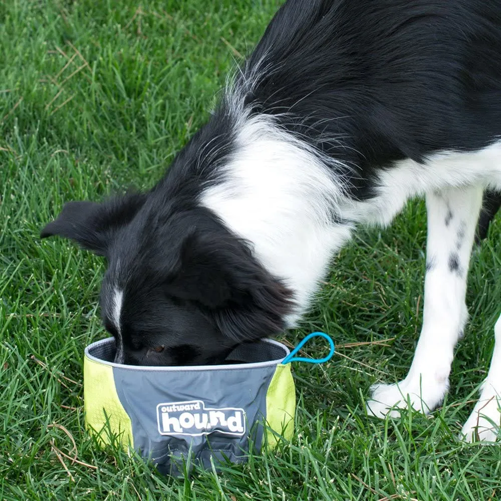 Collapsible Dog Food Travel Bowl - Port-A-Bowl 48oz.