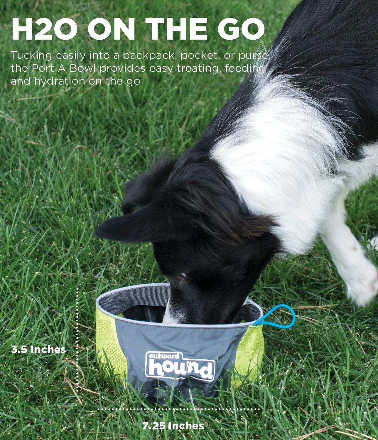 Collapsible Dog Food Travel Bowl - Port-A-Bowl 48oz.