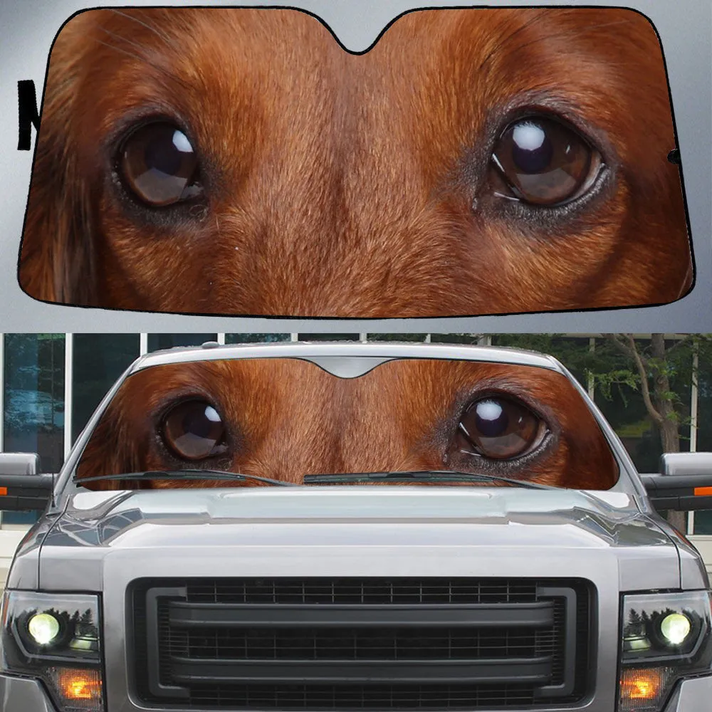 Dachshund's Eyes Beautiful Dog Eyes Car Sun Shade Cover Auto Windshield Coolspod