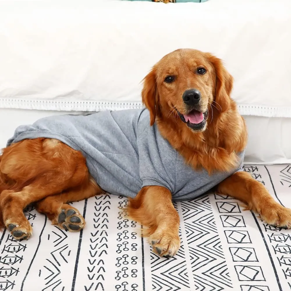 Dog Hoodie - Stylish Outdoor Sports Sweatshirt, Soft and Warm Pet Clothes for Small, Medium and Large Dogs (Grey, Medium)