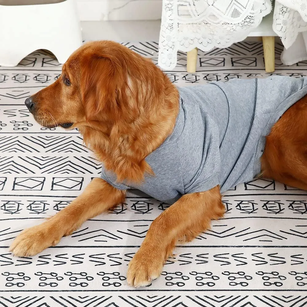 Dog Hoodie - Stylish Outdoor Sports Sweatshirt, Soft and Warm Pet Clothes for Small, Medium and Large Dogs (Grey, Medium)