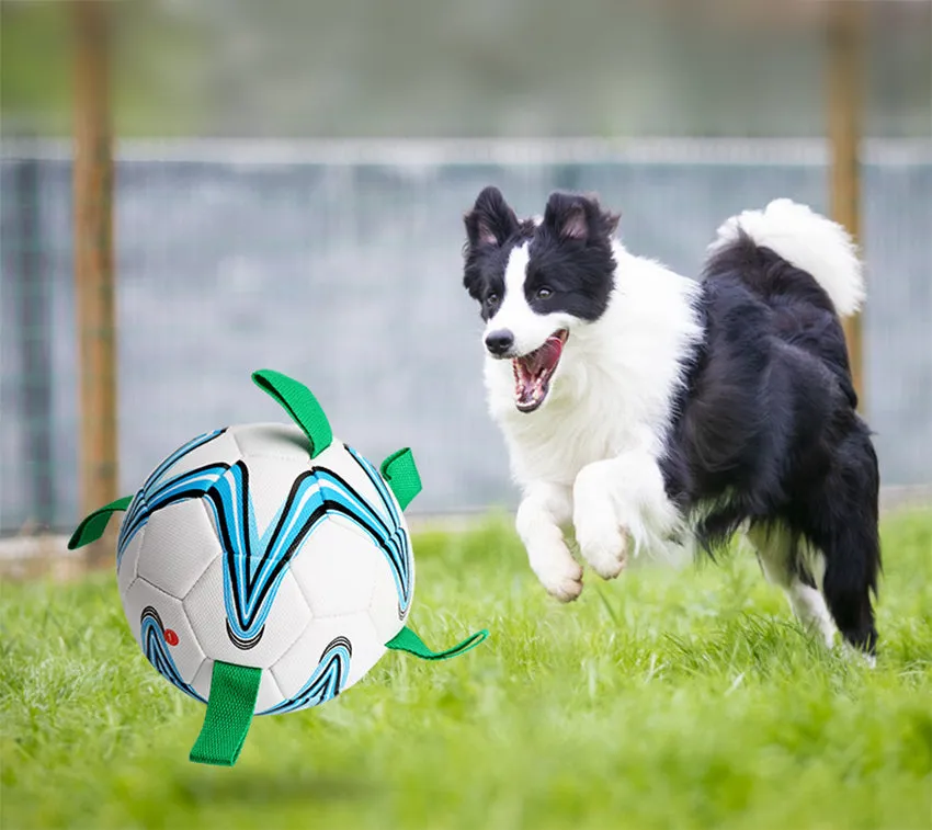 Dog Toys Football with Grab Tabs