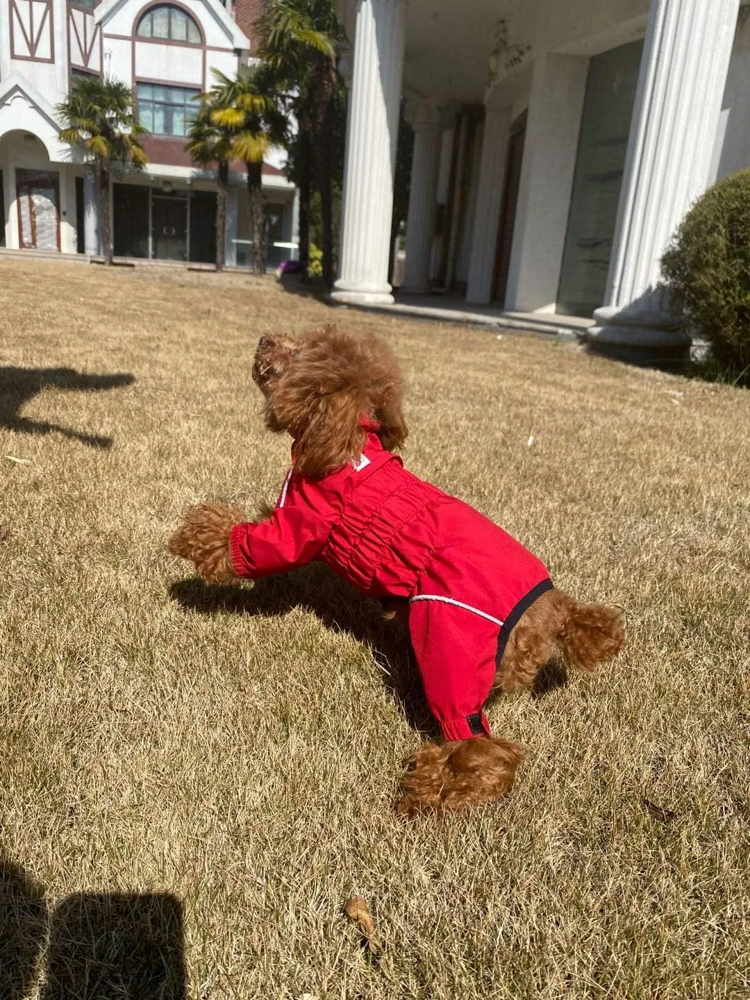 Dogs Waterproof Jacket, Lightweight Waterproof Jacket Reflective Safety Dog Raincoat Windproof Snow-Proof Dog Vest for Small Medium Large Dogs Red S