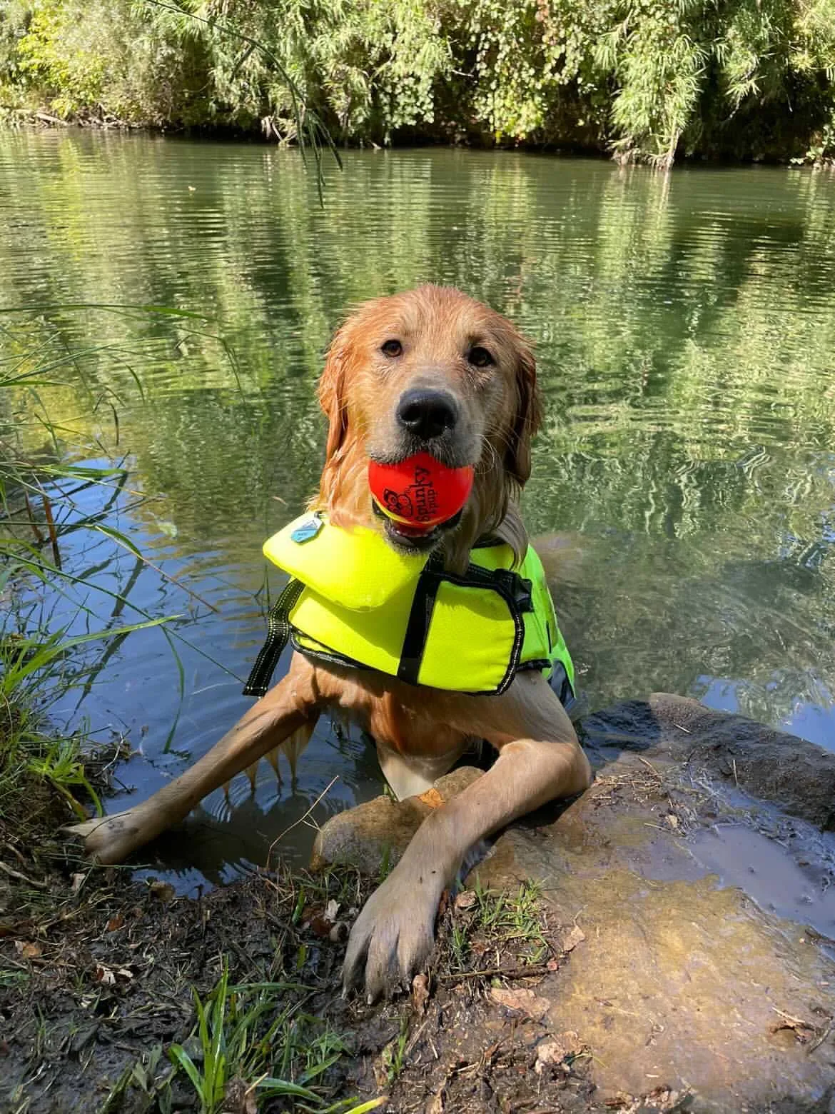 Fetch & Glow Balls