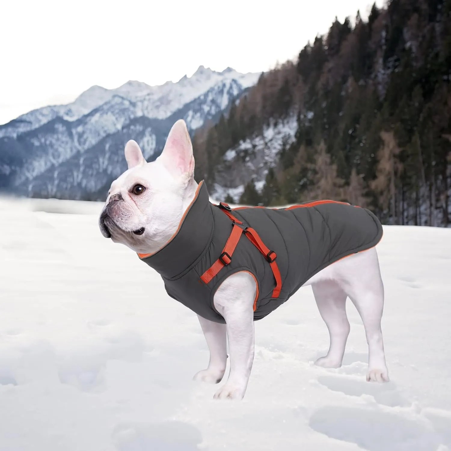 Geyecete Winter Warm Coat Waterproof Dog Winter Jacket with Harness Traction Belt,Windproof Pet Outdoor Jacket-Gray-L