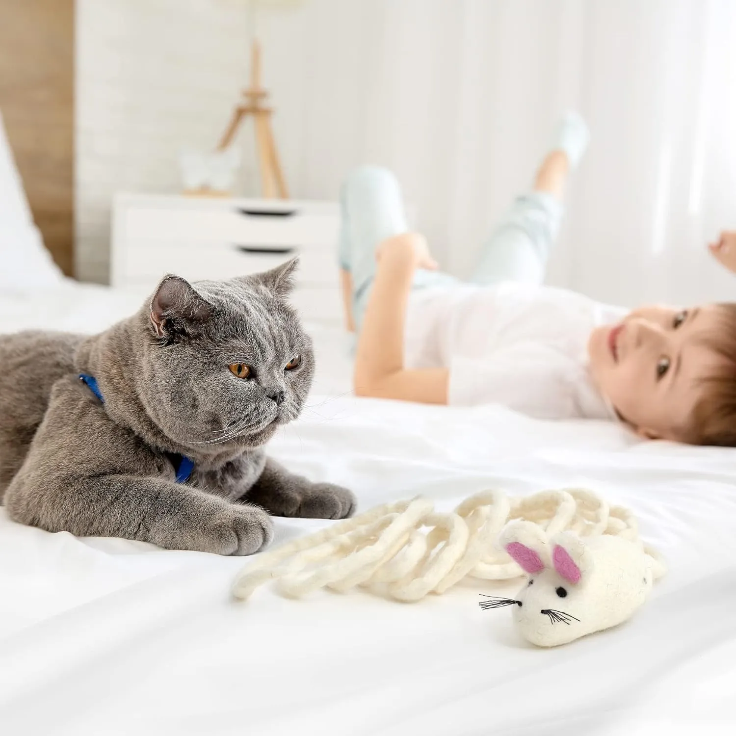 Glaciart One Felt Mouse Cat Toy  Soft Fuzzy Enrichment 100% Natural Wool - Interactive Catnip Play Cat Toy Set - Safe for Pets, Non-AZO Colored Dyes - 100 Long