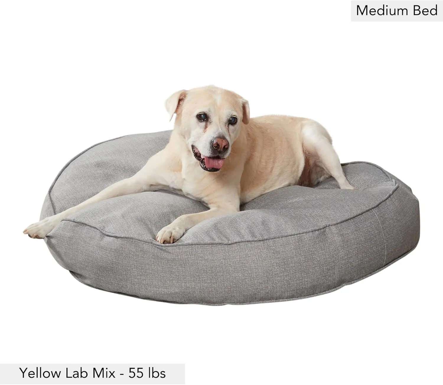 Gordie Round Indoor/Outdoor Pillow Style Dog Bed, Cement, Medium