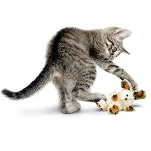 KONG Softies Patchwork Catnip Bear Cat Toy