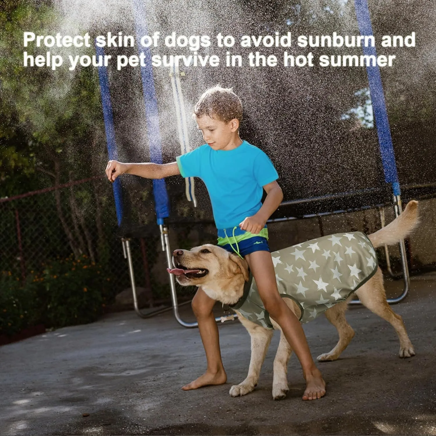 Lightweight Breathable Dog Cooling Shirts, Quick Dry Sunscreen T Shirt, Professional Pet Summer Vest for Small Medium Large Girl Boy Dog