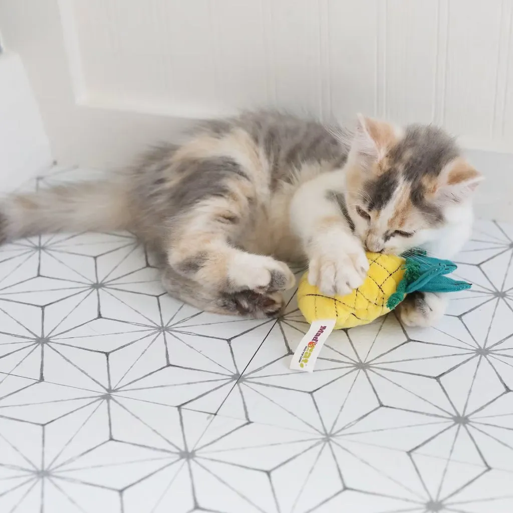 Mad Cat Purrfect Pineapple w/Catnip & Silvervine Toy For Cats