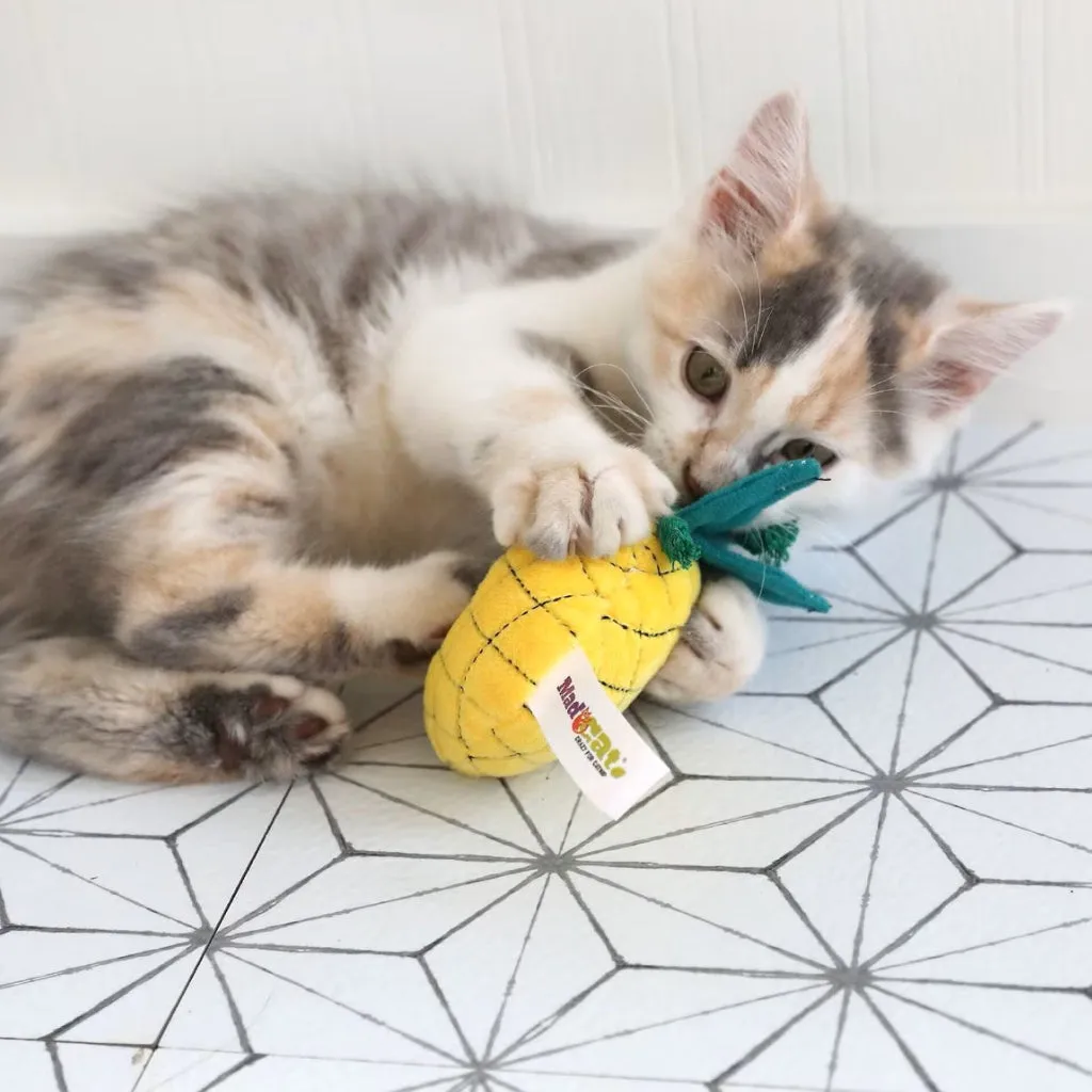 Mad Cat Purrfect Pineapple w/Catnip & Silvervine Toy For Cats