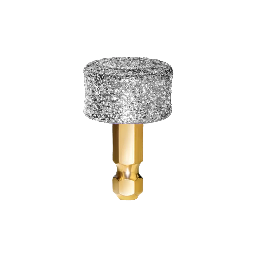 Nail Grinder Replacement Head Bundle - 2 Regular Sized