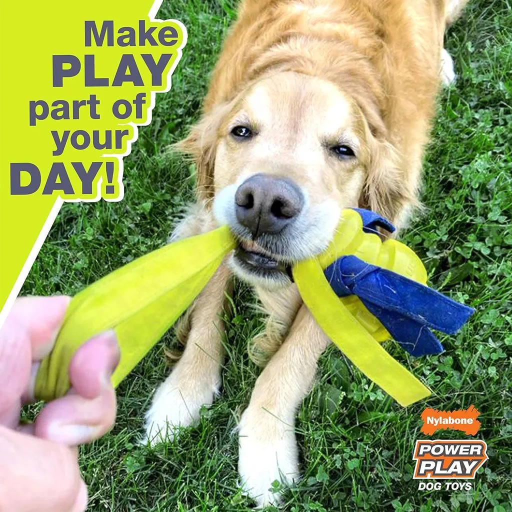 Nylabone Power Play Tennis Teddy Gripz Bear Dog Toy, Medium/Wolf