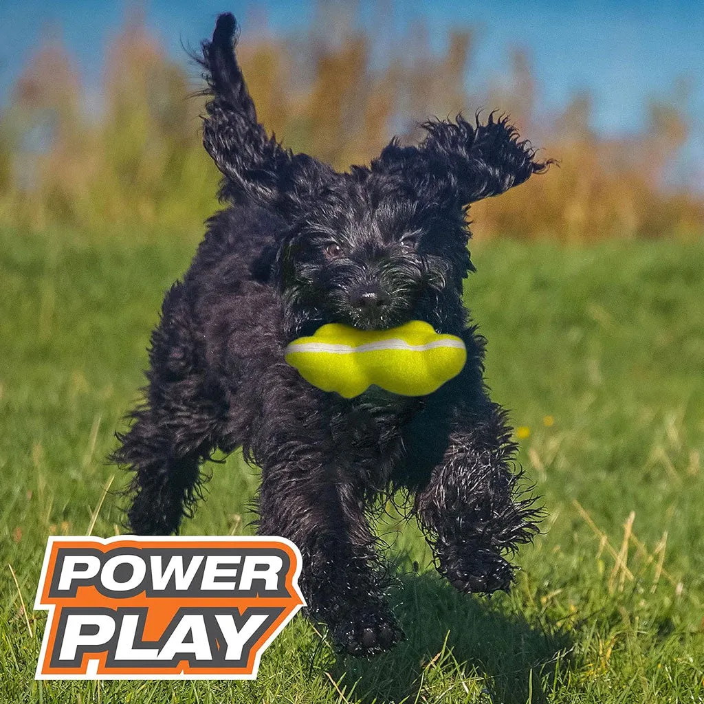 Nylabone Power Play Tennis Teddy Gripz Bear Dog Toy, Medium/Wolf