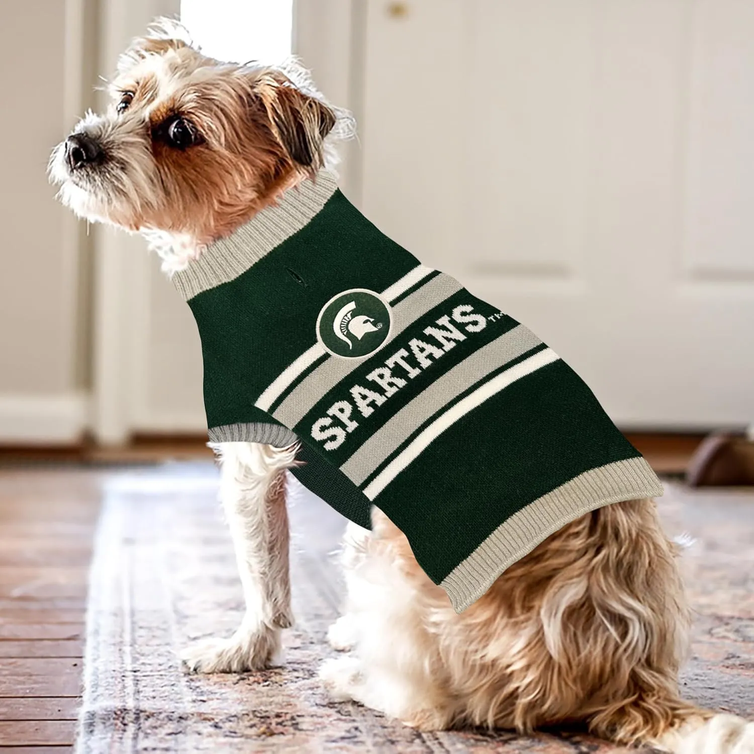 Pets First NCAA Michigan State Spartans Dog Sweater, Size Medium. Warm and Cozy Knit Pet Sweater with NCAA Team Logo, Best Puppy Sweater for Large and Small Dogs, Team Color (MS-4179-MD)
