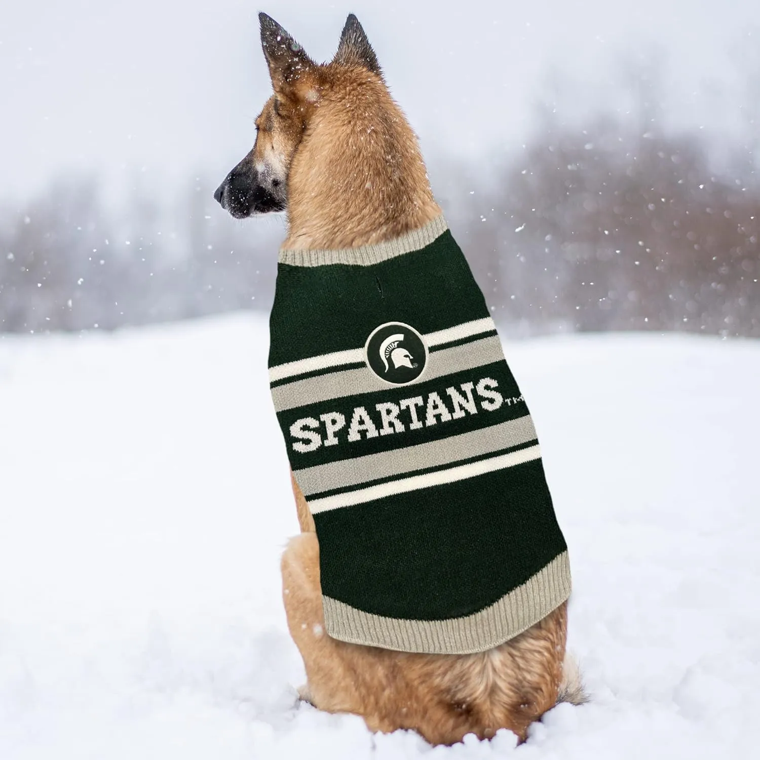 Pets First NCAA Michigan State Spartans Dog Sweater, Size Medium. Warm and Cozy Knit Pet Sweater with NCAA Team Logo, Best Puppy Sweater for Large and Small Dogs, Team Color (MS-4179-MD)