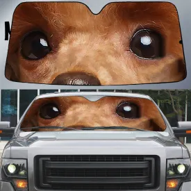 Poodle's Eyes Beautiful Dog Eyes Car Sunshade Cover Auto Windshield