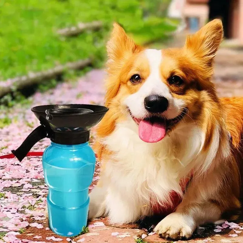 Portable Dog Water Bottle, 16.9Oz Capacity, Eco-Friendly, Squeeze Design, Convenient for Walks, Hikes, and Travel, Lightweight and Hygienic