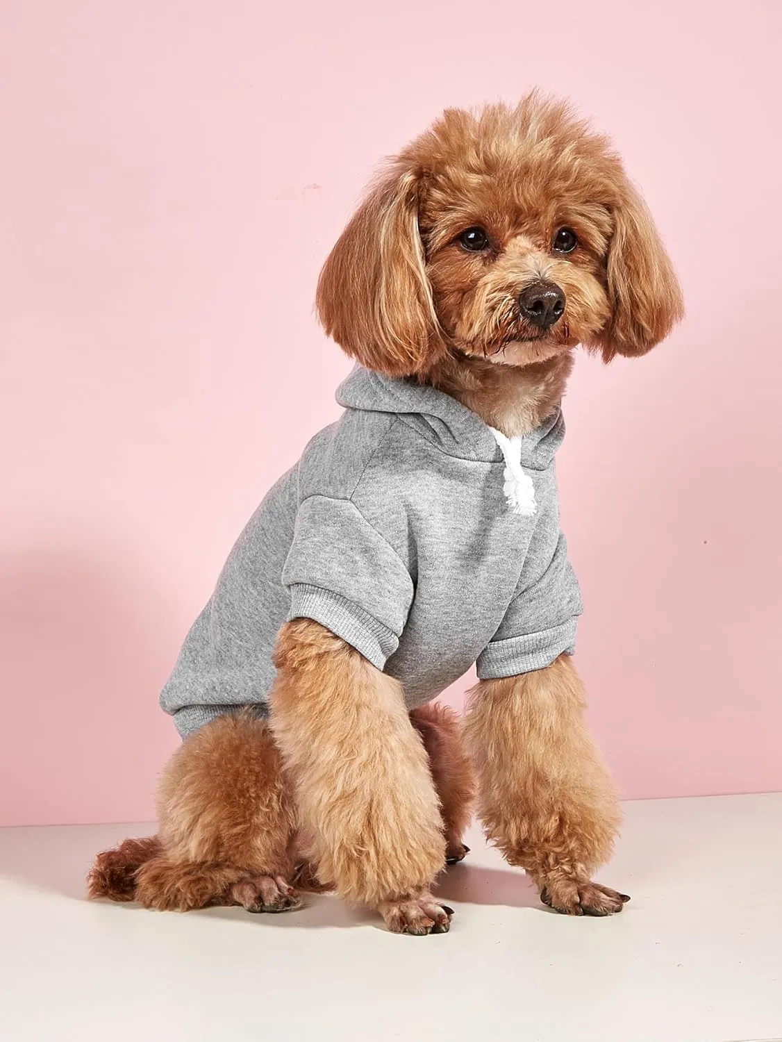 QWINEE 2Pcs Dog & Cat Apparel: Warm Jacket & Shirt - Small to Medium Dogs & Cats, Black & Grey