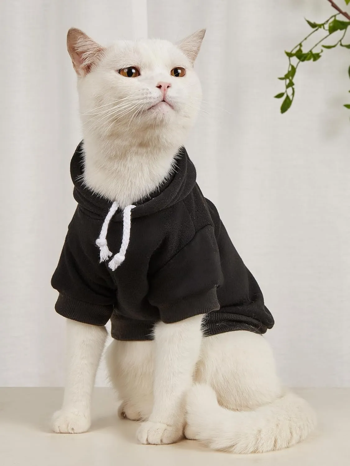 QWINEE 2Pcs Dog & Cat Apparel: Warm Jacket & Shirt - Small to Medium Dogs & Cats, Black & Grey
