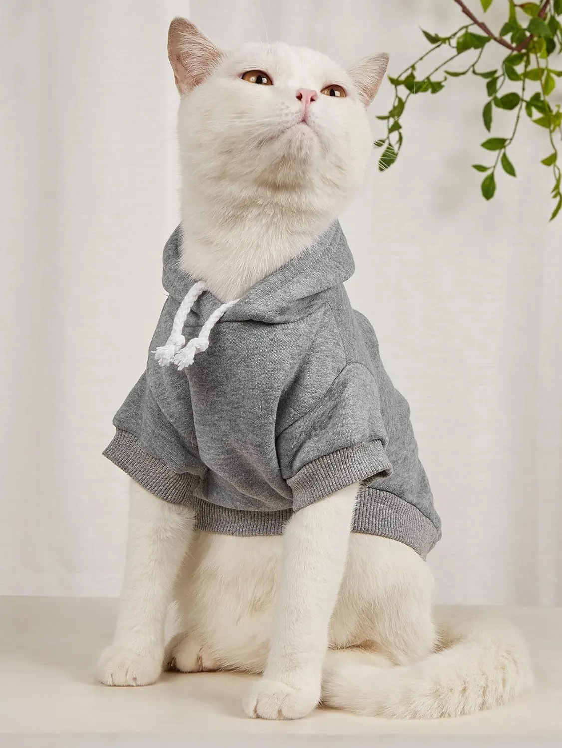QWINEE 2Pcs Dog & Cat Apparel: Warm Jacket & Shirt - Small to Medium Dogs & Cats, Black & Grey