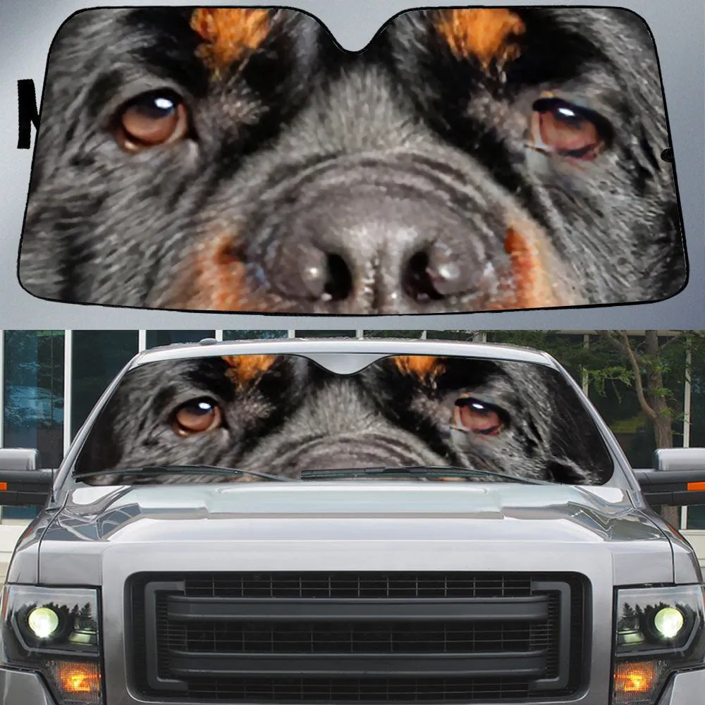 Rottweiler's Eyes Beautiful Dog Eyes Car Sun Shade Cover Auto Windshield