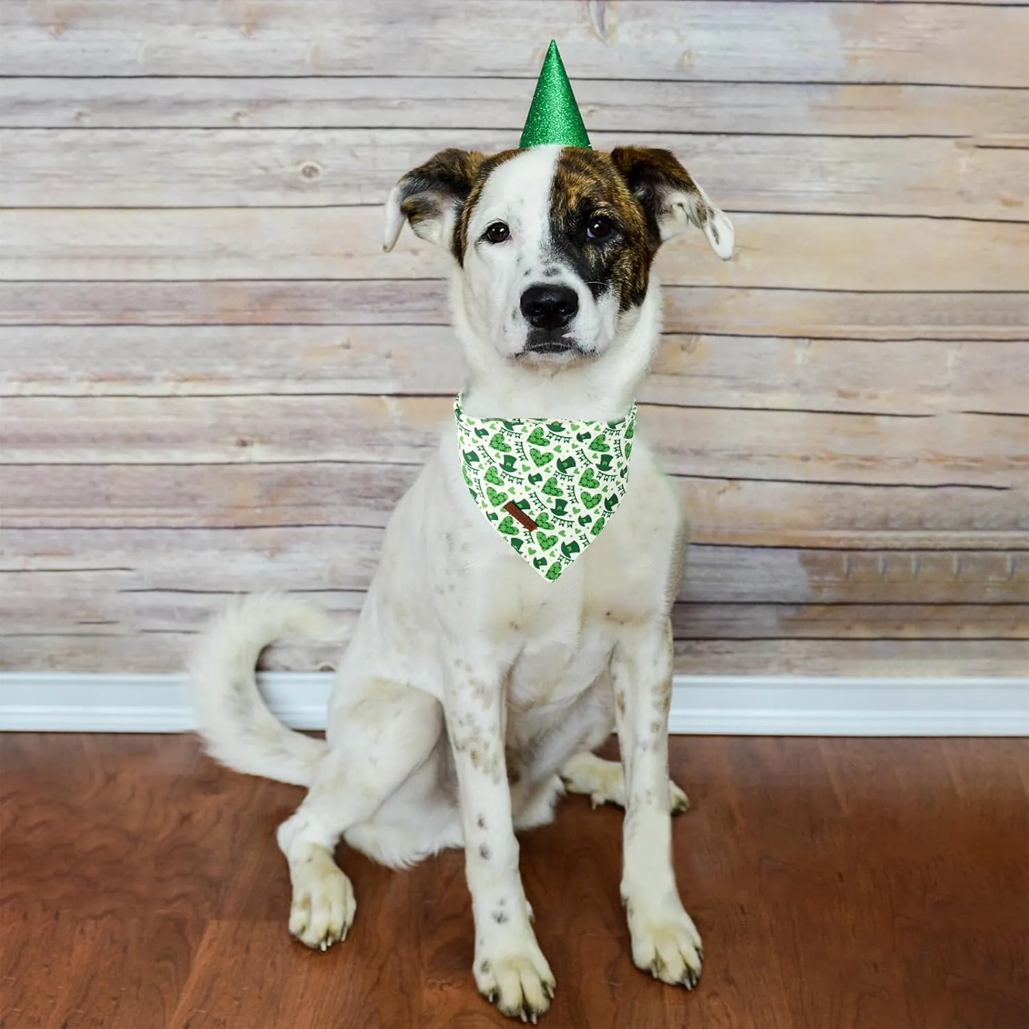 Unique Style Paws Dog St. Pat Bandanas 2Pcs Washable Cotton Triangle Green Clover Magic Hat Dog Scarfs for Small Medium Large Dogs and Cats