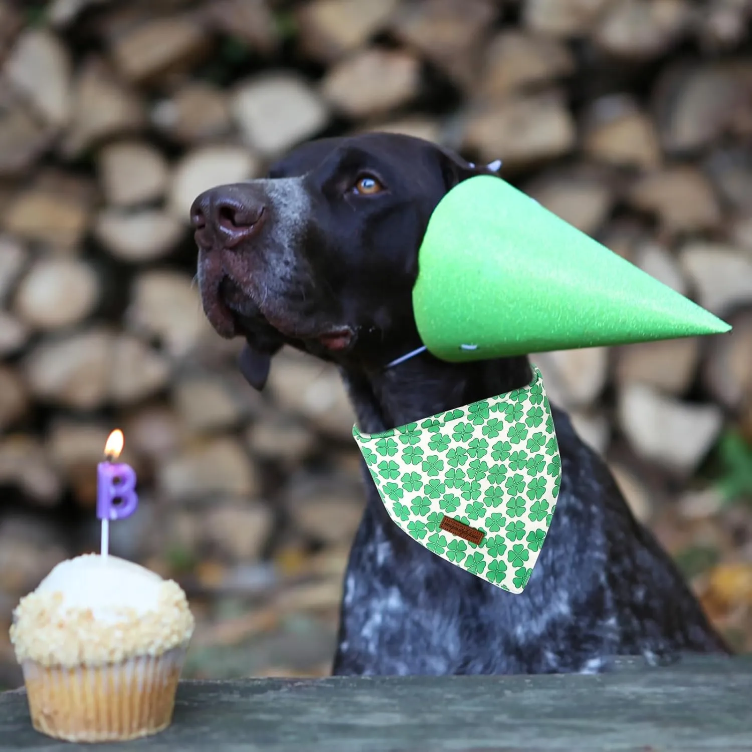 Unique Style Paws Dog St. Pat Bandanas 2Pcs Washable Cotton Triangle Green Clover Magic Hat Dog Scarfs for Small Medium Large Dogs and Cats