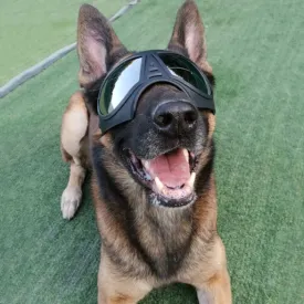 UV Protective German Shepherd and All Breeds Goggles