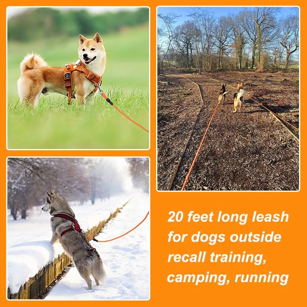 Vivifying 20FT Floating Long Dog Training Leash, Lightweight Check Cord Rope with Comfortable Handle for Outside, Hiking, Swimming, Beach and Lake