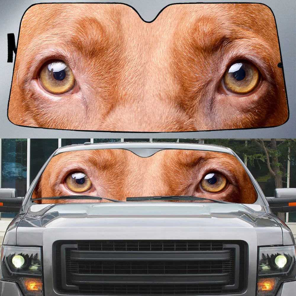 Vizsla's Eyes Beautiful Dog Eyes Car Sunshade Cover Auto Windshield